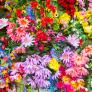 ¿Qué es el equinoccio de primavera y cuándo es en 2025?