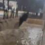 Las impactantes imágenes de las calles de Gerena que parecen ríos tras las intensas lluvias