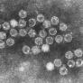 España documenta los primeros casos en niños de un enterovirus raro detectado en Europa