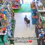 Un perro callejero se cuela en una tienda de mascotas y una cámara de vigilancia capta cómo lo trata la dependienta