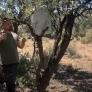Un cazador recurre a la fontanería para salvar a animales de la gran amenaza para la fauna salvaje en verano