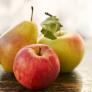 Ni pera ni manzana: llega a España el fruto milenario que podrás plantar en tu jardín y tener una cosecha rápido