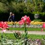 Los jardines botánicos cambian las etiquetas de sus plantas para eliminar los nombres racistas de las especies