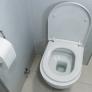 Un gastroenterólogo dictamina cuál es el momento en el que las personas verdaderamente sanas van al baño
