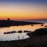 Los científicos regresan a una isla de Menorca para tomar nota de las consecuencias de haber soltado cabras ilegalmente hace 40 años