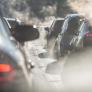 Un atasco en una autopista termina con la multa más alta de la historia: 25 kilómetros de caravana y 5 millones de euros a pagar