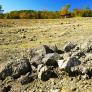Un niño de 14 años camina por el parque, tropieza con una piedra y su vida da un vuelco al recibir un millón de euros
