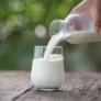 Un nutricionista pide evitar este tipo de leche y tirarla a la basura si la tienes en la nevera: destruye proteínas valiosas