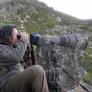 Andoni Canela, el fotógrafo que mejor conoce al lobo: "Somos el país con más biodiversidad en Europa y eso hay que cuidarlo"