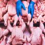 Los expertos elaboran la lista negra de las partes del pollo: esta es la zona que es un nido de pesticidas y sustancias nocivas