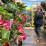 Se acerca una nueva prohibición de la Unión Europea: desaparecerá de los jardines españoles sin remedio