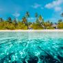 Una familia compra una isla paradisiaca que incluía guardia de seguridad, manitas y un secuestrador