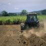 Los jóvenes invaden los campos para montar una fiesta ilegal, el agricultor saca su tractor y toma cartas en el asunto