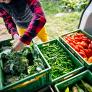 El desconocido país que sería el único capaz de alimentar a toda su población si el comercio mundial colapsara