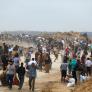 Israel no da tregua: cerca de 60 palestinos han muerto en un ataque cerca de un punto de entrega de ayuda en Gaza