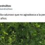 Logra uno de los tuits más vistos con solo mostrar una calle: debería ser normal, pero no siempre lo es