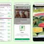 La publicidad llega a WhatsApp: un centro comercial gigante en la palma de tu mano