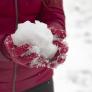 La batalla de bolas de nieve que sirvió a los franceses para tomar la Ciudadela de Pamplona