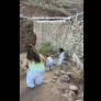 Comparte la ruta que hizo con sus amigas y la historia termina de la manera menos esperada
