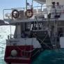 Unas turistas españolas llegan justo a la salida de su barco y así es como se la juegan