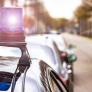 Un policía vende 124 cachorros por 170.000 euros sin pagar impuestos: se queda sin trabajo y encerrado