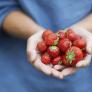 Un frutero gaditano es tajante con su opinión sobre las fresas de Huelva: "No veas el olor y sabor que tienen"