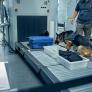Un perro de aduanas se niega a acercarse al camión y los agentes revelan el gran delito oculto en la comida para canes