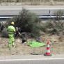 La Guardia Civil apunta al exceso de velocidad del coche que conducía Diogo Jota