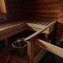 La familia entra en la sauna y se topa con un 'invitado' inesperado: "Si una persona es mordida, la situación empeora"