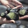 Descubren una extraña roca que viene de las profundidades y Canarias se encuentra en el epicentro del misterio