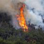España reduce un 35 % los incendios forestales en una década, pero ahora son más incontrolables
