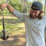 Un tiburón martillo cae sobre un campo de golf y la ciencia busca una explicación para esta extraña aparición