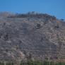 El incendio en Villena (Alicante) sigue activo y se trabaja en un rebrote del fuego