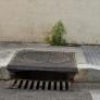 Plaga sin precedentes: las cucarachas salen de las alcantarillas e invaden las calles de esta ciudad a dos pasos de España