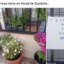 Le suelen robar las macetas y planta un cartel que debería estar expuesto en el Museo del Prado
