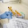 Logran erradicar en el laboratorio la recaída del cáncer de mama más agresivo