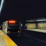 Se acerca a escuchar al músico del metro y descubre un invitado inesperado disfrutando del espectáculo
