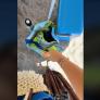 Llegan a España y hacen un experimento social: dejan sus cosas sin vigilancia tres horas en la playa y esto es lo que se encuentran al volver