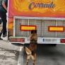 Interceptan a un menor marroquí escondido en el camión de una atracción de feria en Ceuta