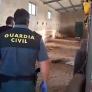 Un hombre deja morir de hambre y sed a 32 perros en una finca de Badajoz