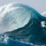 Un hombre de 71 años se convierte en campeón nacional de surf y emociona con su historia personal