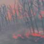Logran perimetrar las llamas en Tres Cantos (Madrid) y el incendio tiene evolución favorable