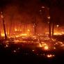 Interior declara la fase de preemergencia ante los "numerosos incendios" activos en España