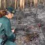 Investigada una mujer por provocar cinco incendios forestales en A Coruña
