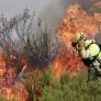 Federico Grillo, experto en incendios forestales: "Por cada euro que inviertes en prevención, reduces 100 en la factura de la extinción"