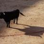 Un medio francés se fija en el proyecto del toro gigante y lo describe en estos términos