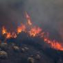 Un bombero responde a las palabras de un consejero de Castilla y León: "De cemento armado la cara del tipo este"