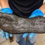 Los arqueólogos no caben en su asombro por el misterioso zapato encontrado en un fuerte romano