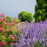 Estas son las 5 plantas que deberías podar en agosto antes de que sea demasiado tarde