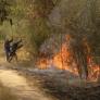 El fuego no da ni un respiro en Castilla y León, Extremadura y Galicia mientras Sánchez amplía el despliegue de la UME